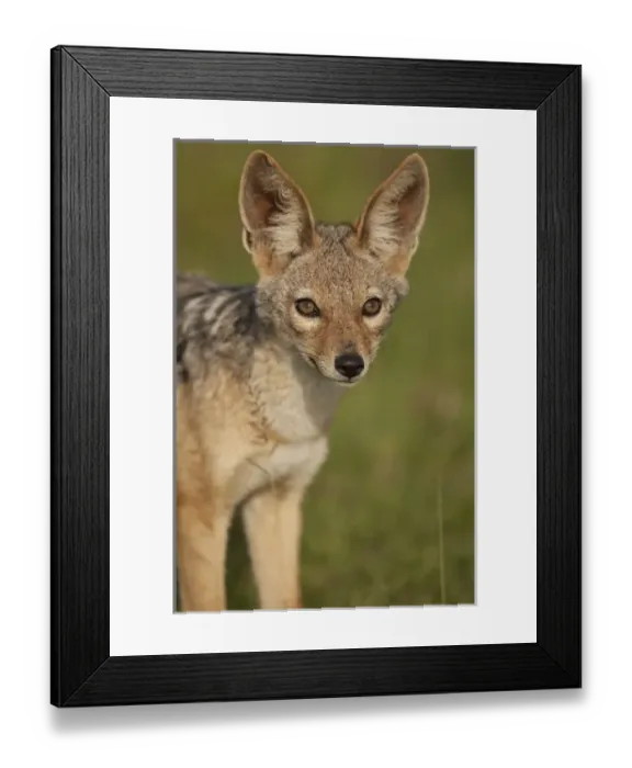 Framed Print : Africa, Kenya
