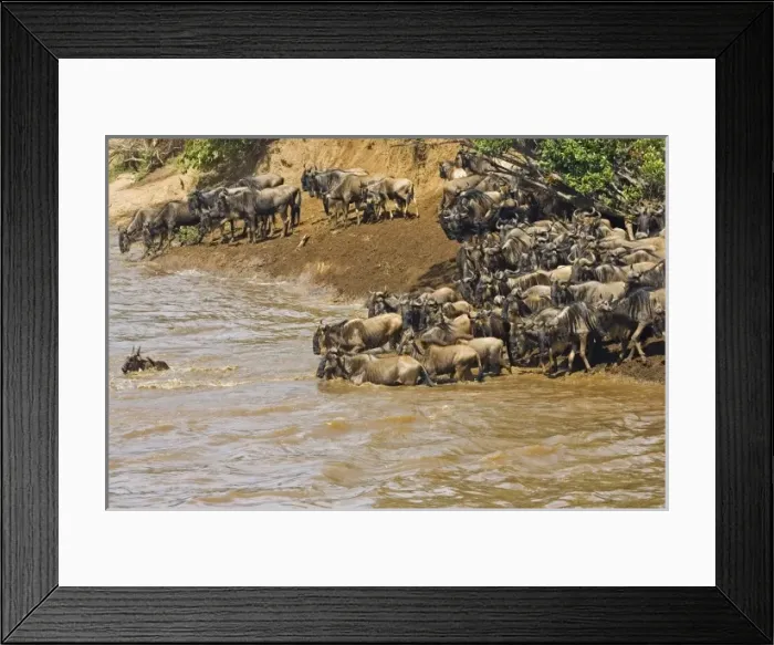 Framed Print : Africa, Kenya Framed Print : Africa, Kenya