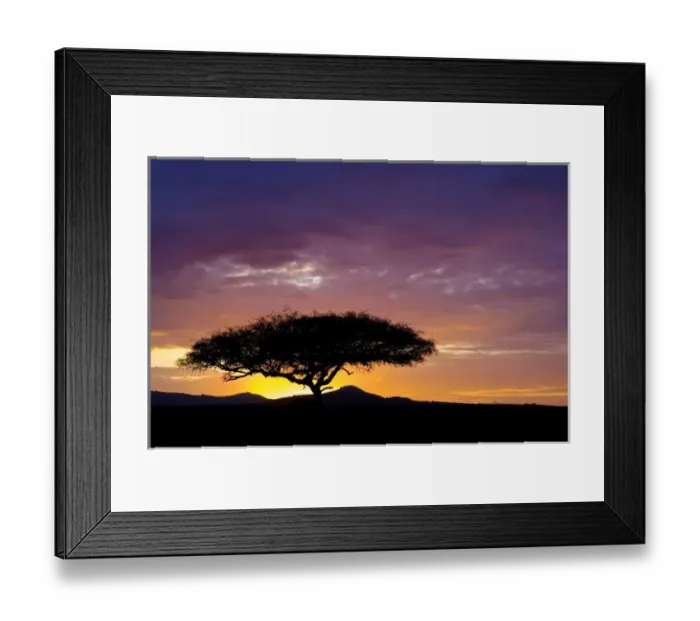 Framed Print : Kenya, Masai Mara. Sunrise silhouettes acacia tree