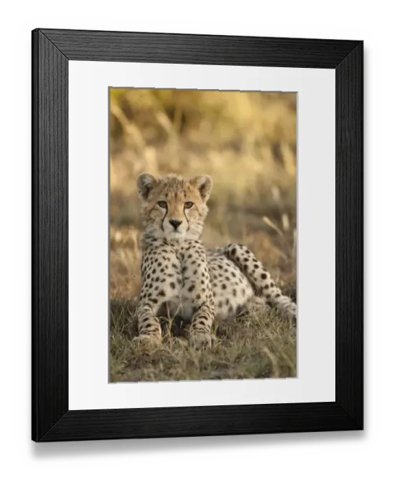 Framed Print : Africa, Kenya