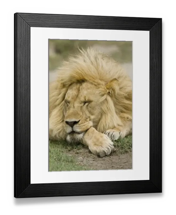 Framed Print : Africa, Kenya Framed Print : Africa, Kenya
