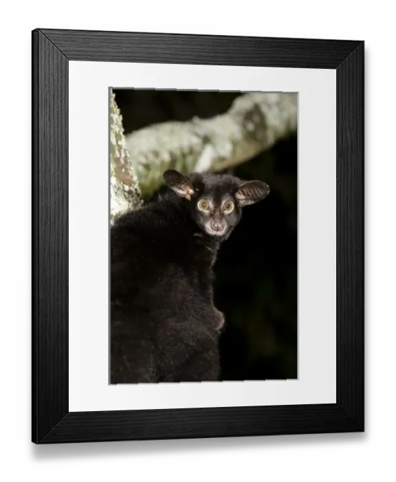 Framed Print : Africa, Kenya