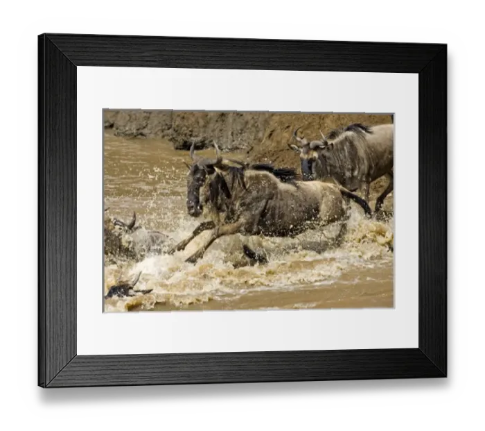 Framed Print : Africa, Kenya Framed Print : Africa, Kenya
