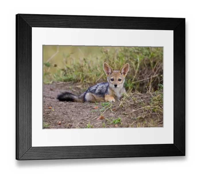 Framed Print : Africa, Kenya Framed Print : Africa, Kenya