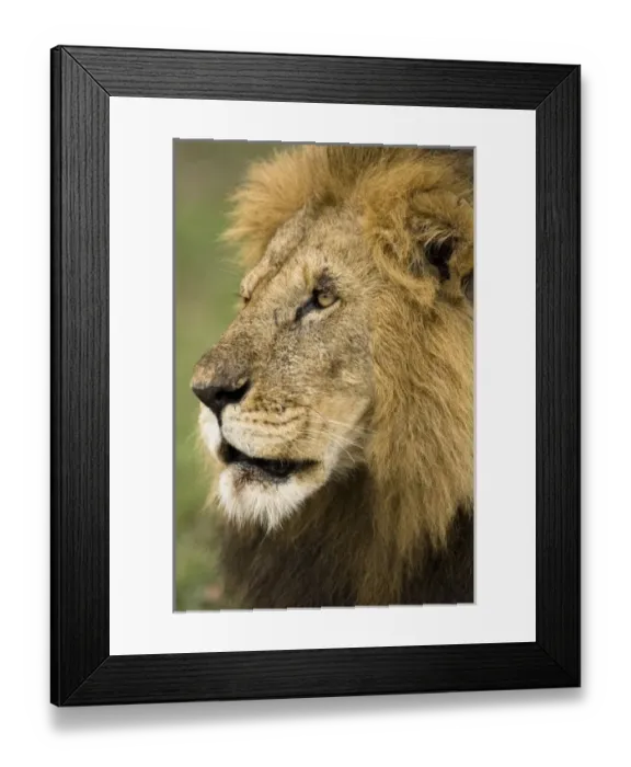 Framed Print : Africa, Kenya