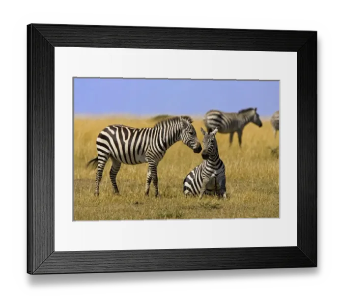 Framed Print : Africa, Kenya Framed Print : Africa, Kenya