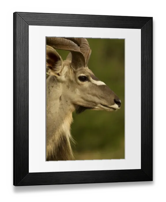 Framed Print : Africa, Kenya Framed Print : Africa, Kenya