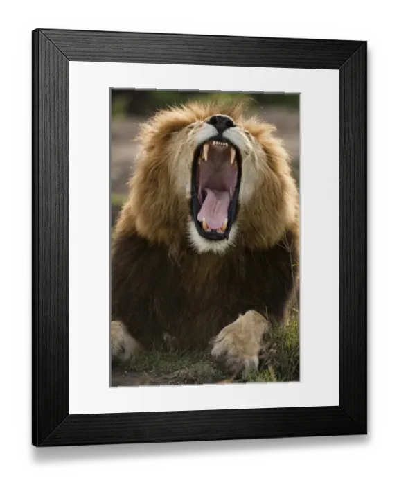 Framed Print : Africa, Kenya Framed Print : Africa, Kenya