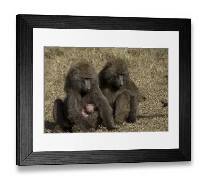 Framed Print : Africa, Kenya Framed Print : Africa, Kenya