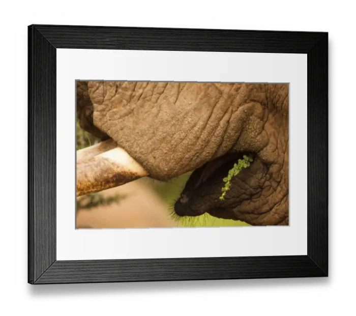 Framed Print : Africa, Kenya Framed Print : Africa, Kenya