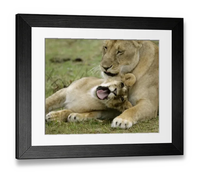 Framed Print : Africa, Kenya Framed Print : Africa, Kenya