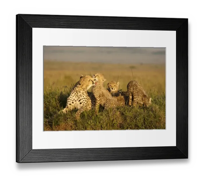 Framed Print : Africa, Kenya Framed Print : Africa, Kenya