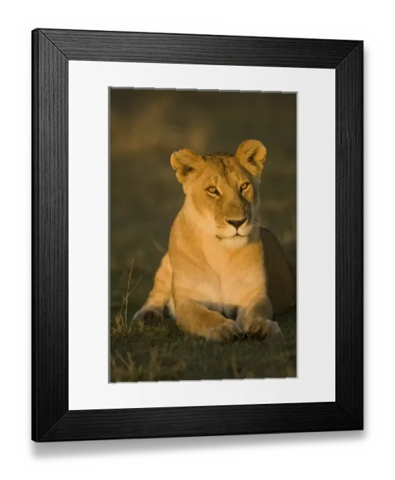 Framed Print : Africa, Kenya Framed Print : Africa, Kenya