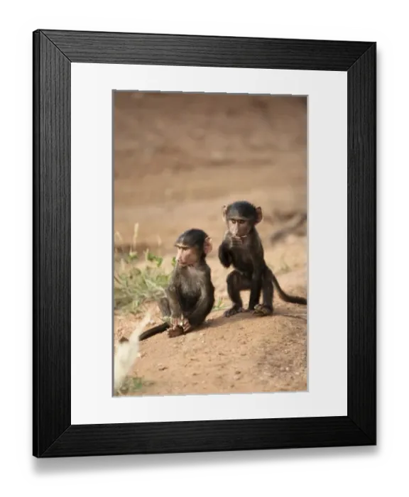 Framed Print : Africa, Kenya Framed Print : Africa, Kenya