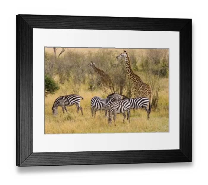 Framed Print : Africa, Kenya Framed Print : Africa, Kenya