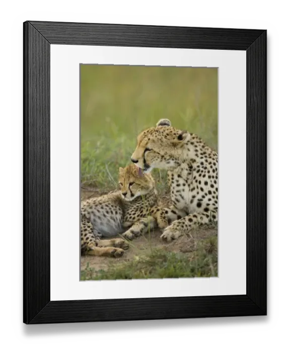 Framed Print : Africa, Kenya Framed Print : Africa, Kenya