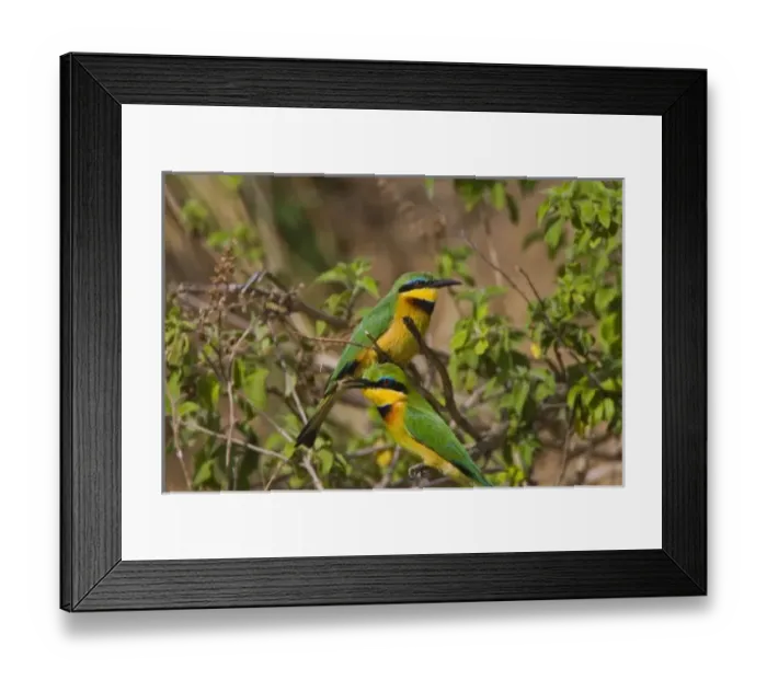 Framed Print : Africa, Kenya Framed Print : Africa, Kenya