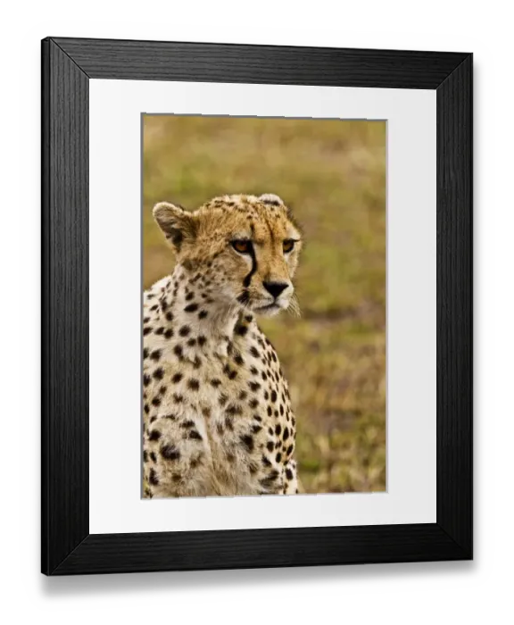 Framed Print : Africa, Kenya