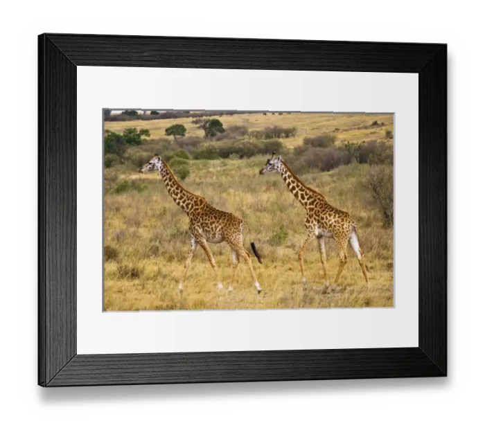 Framed Print : Africa, Kenya Framed Print : Africa, Kenya