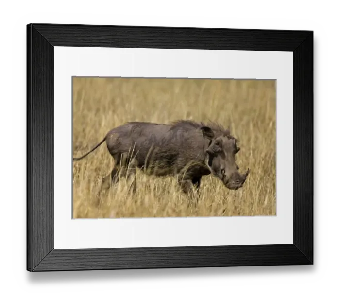 Framed Print : Africa, Kenya Framed Print : Africa, Kenya