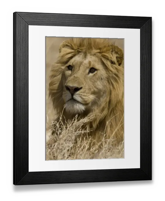 Framed Print : Africa, Kenya Framed Print : Africa, Kenya