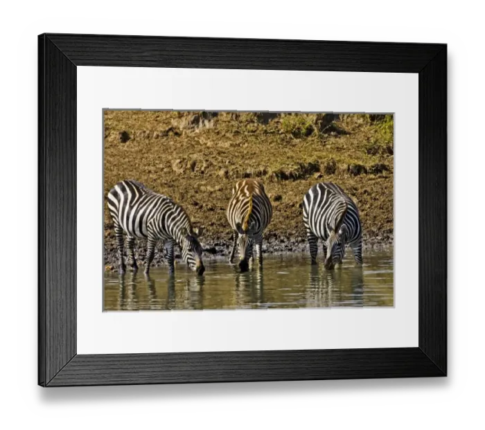 Framed Print : Africa, Kenya Framed Print : Africa, Kenya