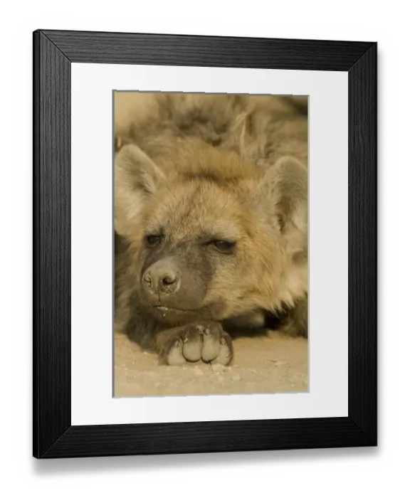 Framed Print : Africa, Kenya