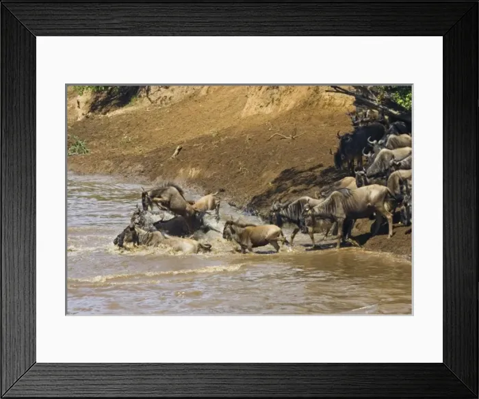 Framed Print : Africa, Kenya Framed Print : Africa, Kenya