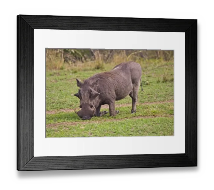 Framed Print : Africa, Kenya Framed Print : Africa, Kenya
