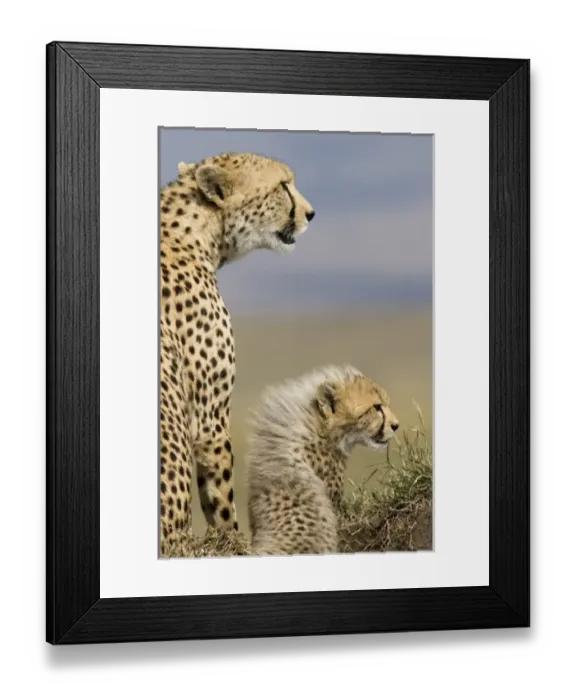 Framed Print : Africa, Kenya Framed Print : Africa, Kenya