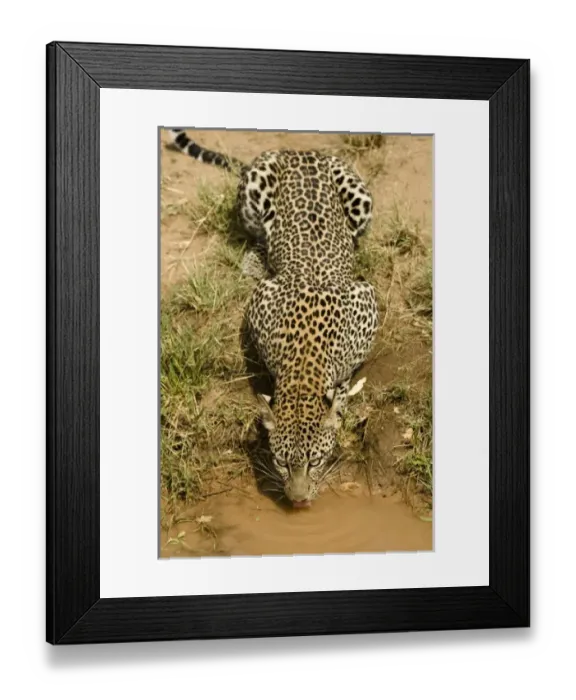 Framed Print : Africa, Kenya
