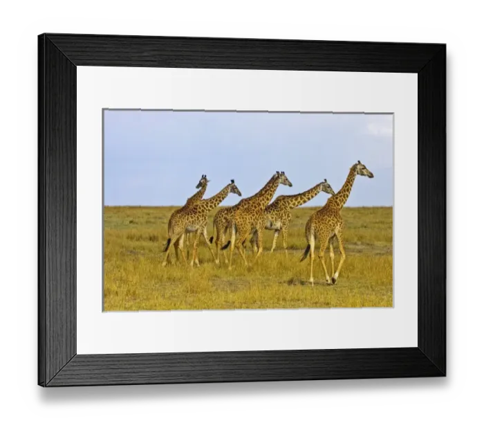 Framed Print : Africa, Kenya