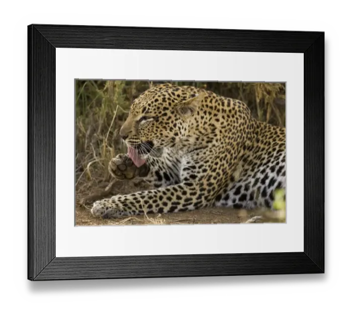 Framed Print : Africa, Kenya Framed Print : Africa, Kenya