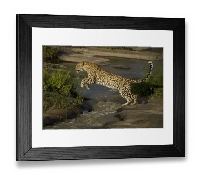 Framed Print : Africa, Kenya Framed Print : Africa, Kenya