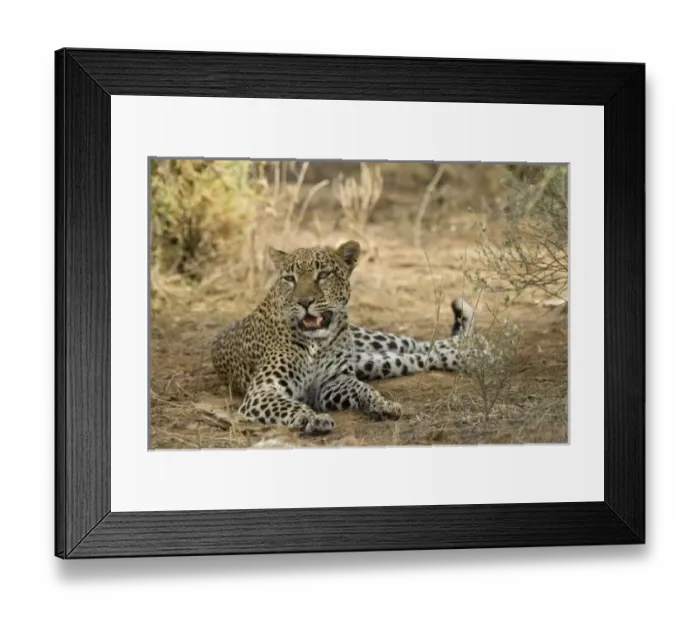 Framed Print : Africa, Kenya Framed Print : Africa, Kenya