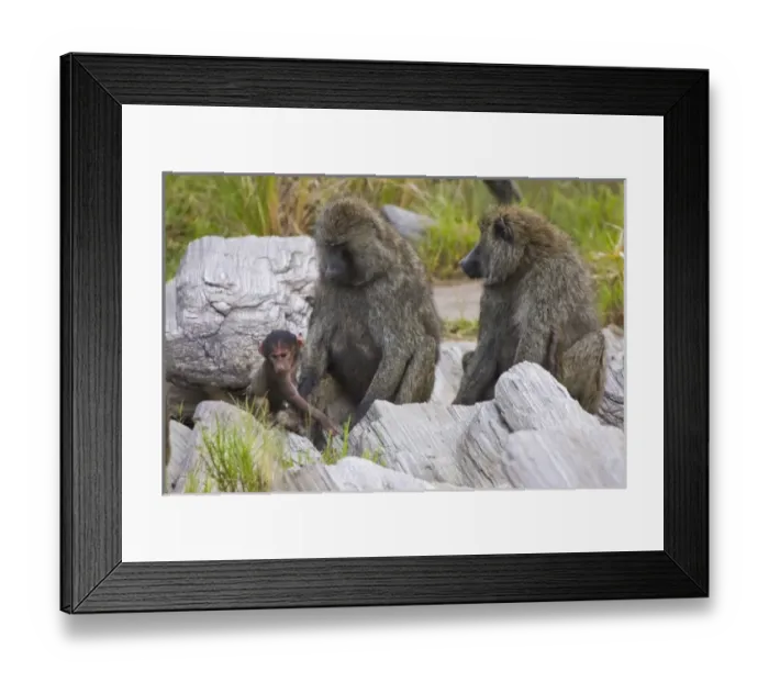 Framed Print : Africa, Kenya