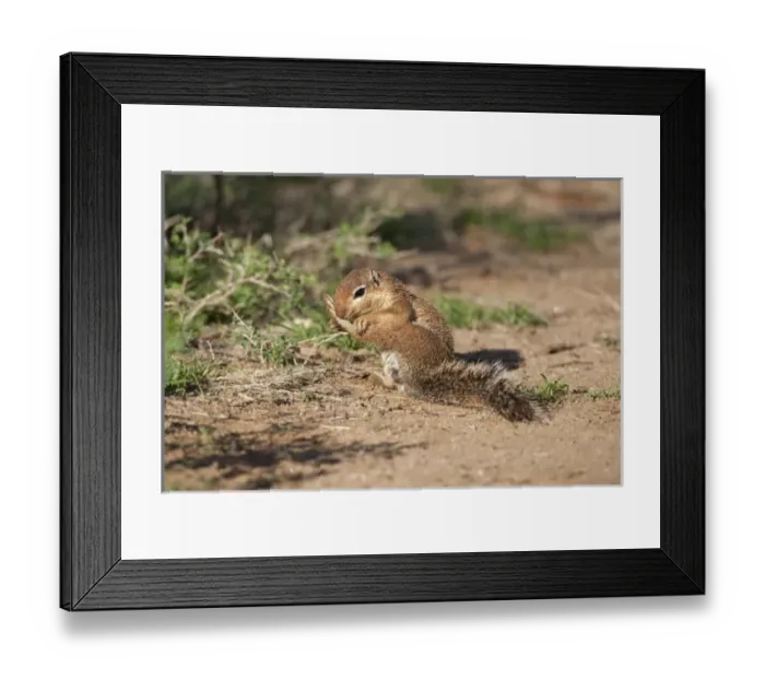 Framed Print : Africa, Kenya Framed Print : Africa, Kenya
