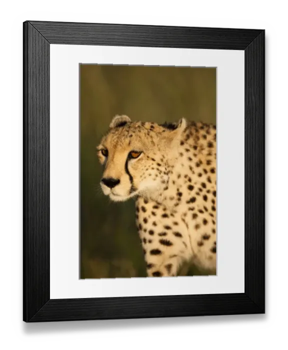 Framed Print : Africa, Kenya Framed Print : Africa, Kenya