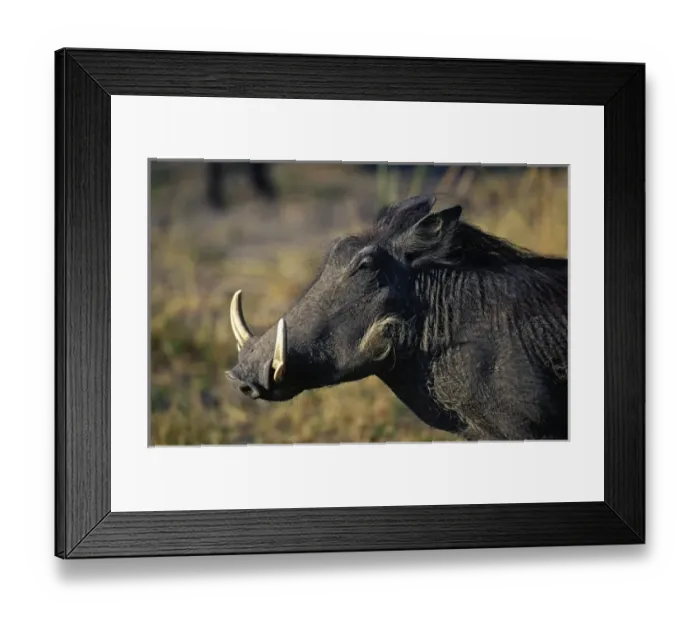 Framed Print : Africa, Kenya Framed Print : Africa, Kenya