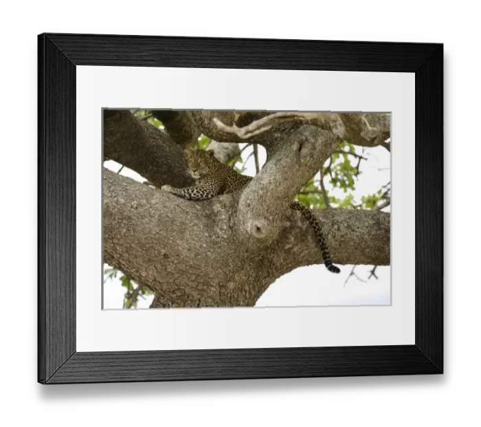 Framed Print : Africa, Kenya