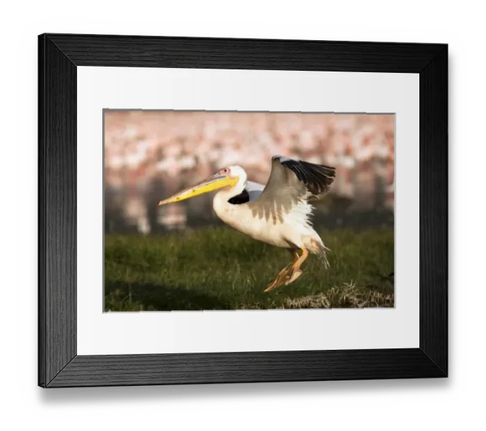 Framed Print : Africa, Kenya Framed Print : Africa, Kenya