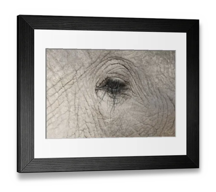 Framed Print : Africa, Botswana