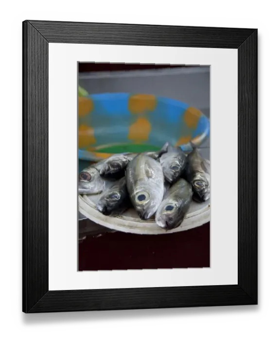 Framed Print : Cape Verde Islands, Sao Vicente, Mindelo (aka Porto Grande). Downtown fish market
