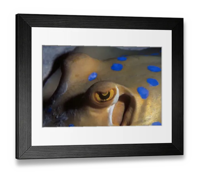 Framed Print : Africa, Egypt Framed Print : Africa, Egypt