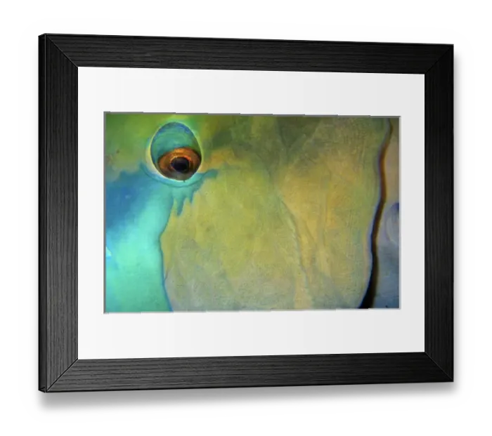 Framed Print : Africa, Egypt Framed Print : Africa, Egypt