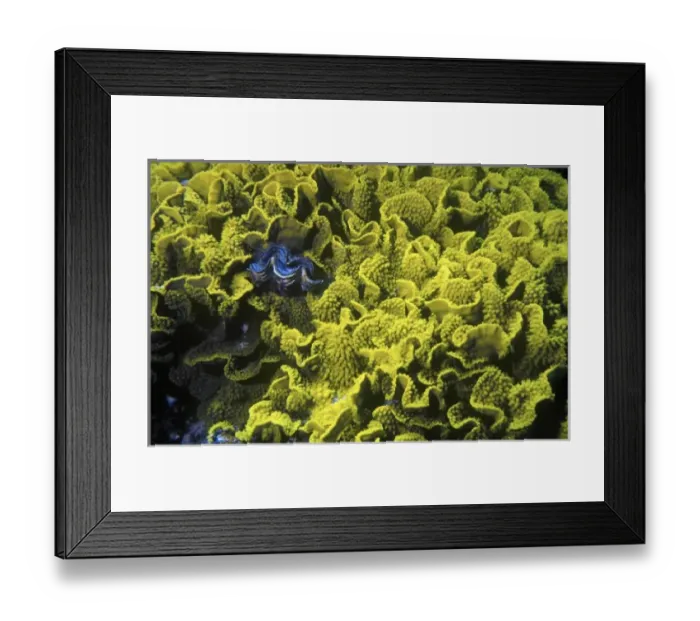 Framed Print : Africa, Egypt Framed Print : Africa, Egypt
