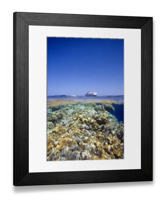 Framed Print : Above and underwater shot of dive boats and corals at Panorama Reef (Abu Alama), Red Sea Framed Print : Above and underwater shot of dive boats and corals at Panorama Reef (Abu Alama), Red Sea