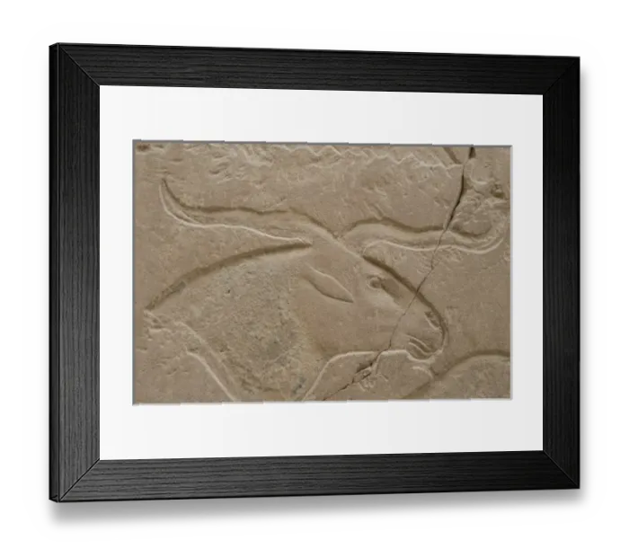 Framed Print : Africa, Egypt Framed Print : Africa, Egypt
