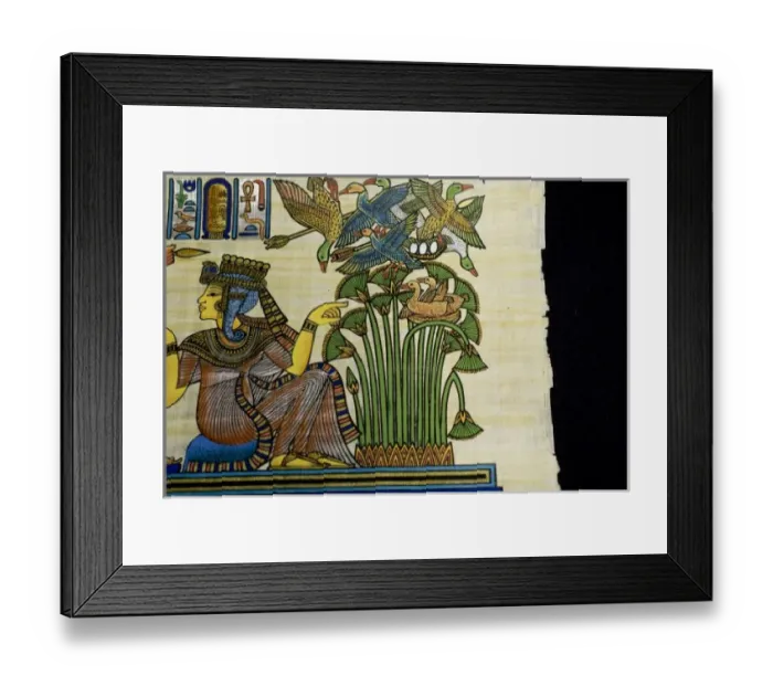 Framed Print : Africa, Egypt Framed Print : Africa, Egypt