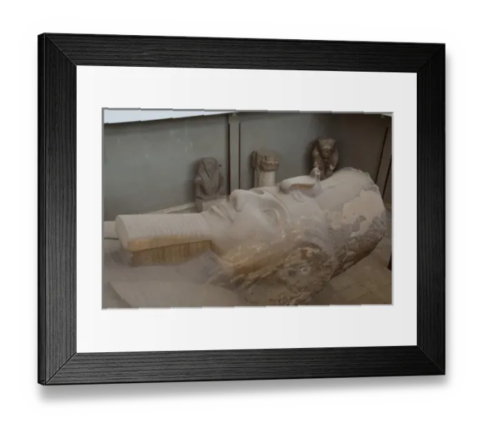 Framed Print : Egypt, Memphis (aka Menufer). Giant statue called The Colossus of Ramses II Framed Print : Egypt, Memphis (aka Menufer). Giant statue called The Colossus of Ramses II